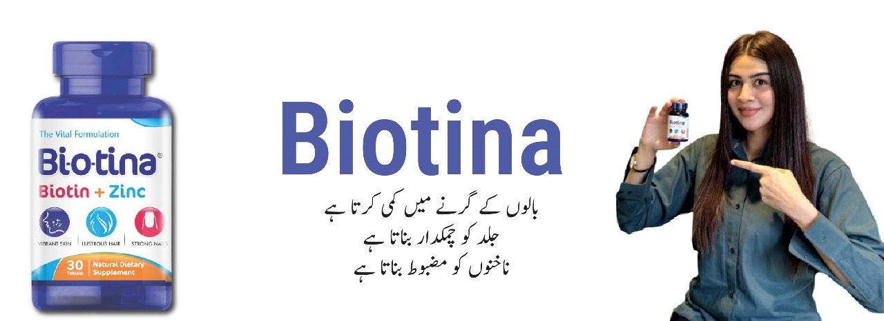 WhatsApp Image 2024-12-18 at 3.35.03 PM